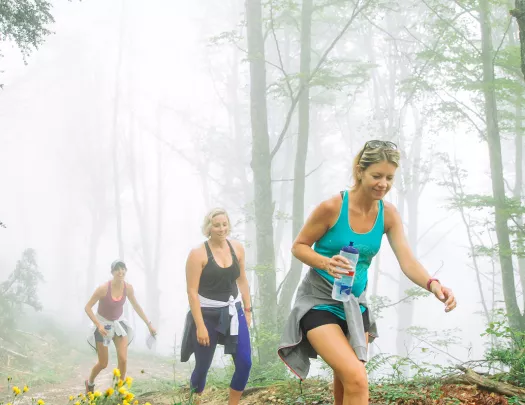 Hiking Group French Pyrenees to Basque Country