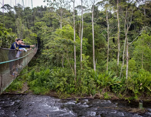 Everyone Looking Down River From Suspension Bridge