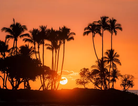 Sunset in Hawaii