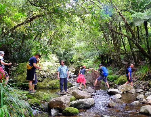 Walking across a stream in New Zealand