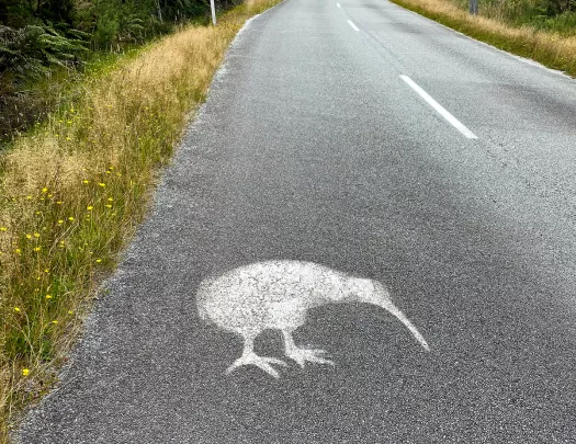 Shape of a kiwi bird spray painted on a road in New Zealand