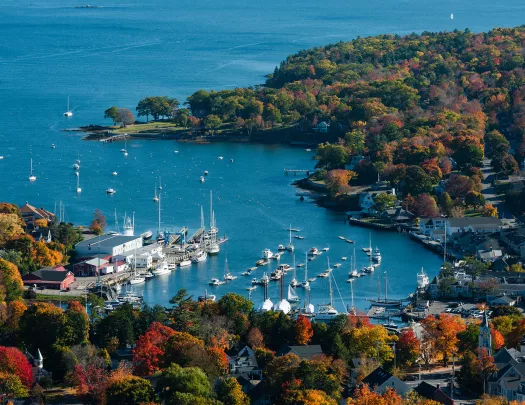 Wide shot of port and numerous small boats around autumnal forest.