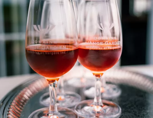 Shot of wine glasses, red wine inside.