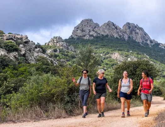 Four guests walking down trail, craggy hills in distance.