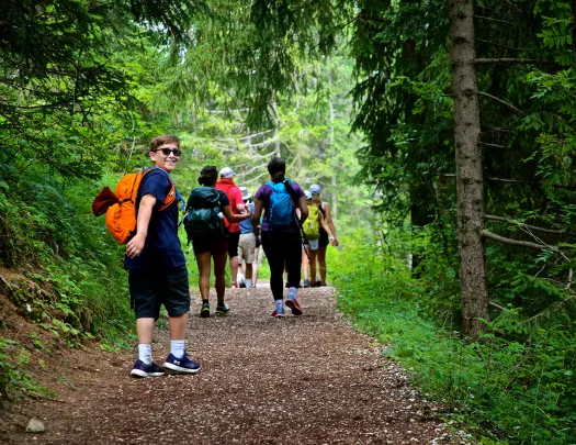 Group of guests hiking down forested trail, one looking back to camera.
