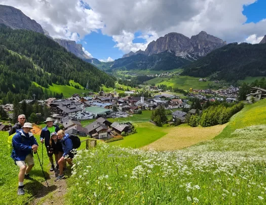 Five guests posing for camera, Dolomites valley town in distance.