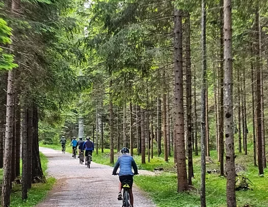 Five guests cycling down forest trail, trees surrounding them.