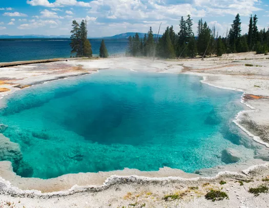 Turquoise hot spring and surrounding pine trees