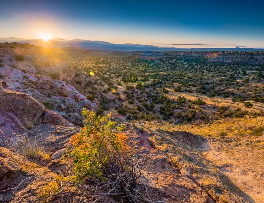 New Mexican desert during sunrise