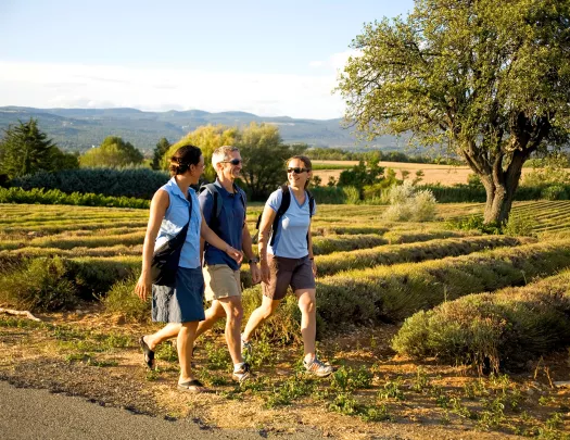 Three Backroads Guests Walking and Talking