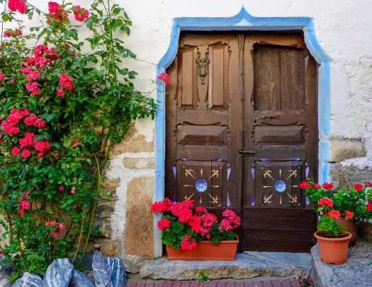Shot of old housefront, red flowers, wooden door.