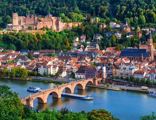 Ship Under Rhine River Bridge 