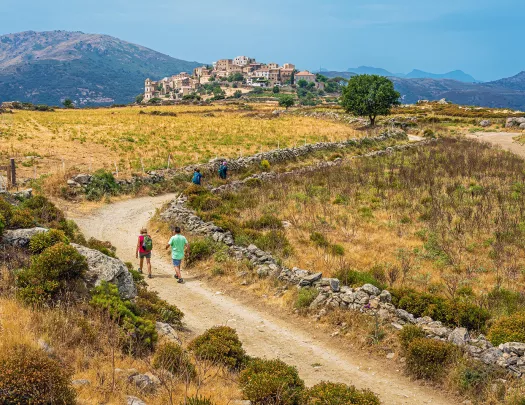 Four guests walking towards city in the distance. Golden fields, rocky walls.