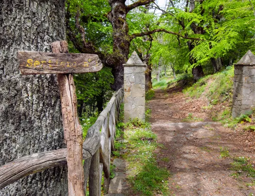 Shot of forest trail, fence, signage, two stone pylons.