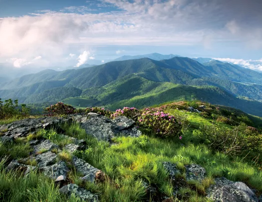 Wide shot of grassy, mountain vista. Large clouds.