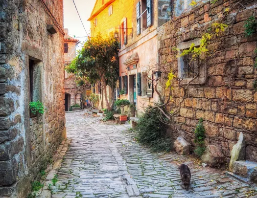 Cat running down European cobblestone alleyway.