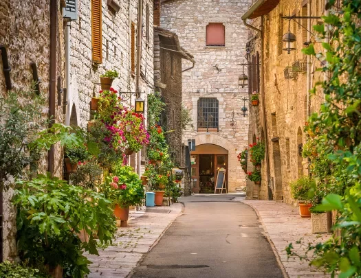 Small Italian road, storefronts and vining plants on either side.