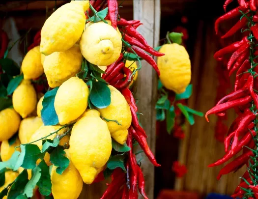 Shot of hanging lemons, drying chili peppers.