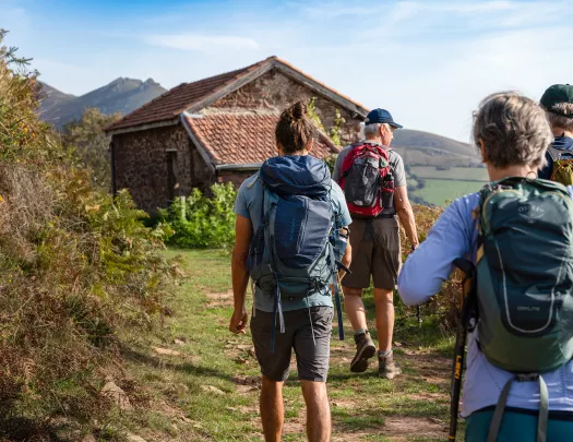 Four Backroads Guests Walking