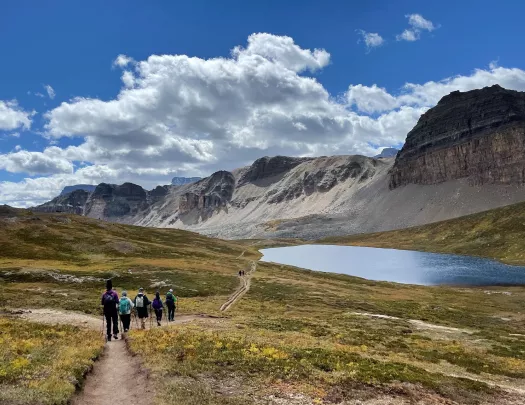 Group of guests walking among golden meadow trail, large hills in distance.