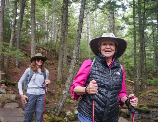 Two guests hiking over thin forest bridge.