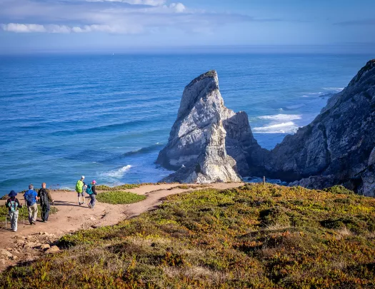 Guests on hilltop walking towards rocky coastline.