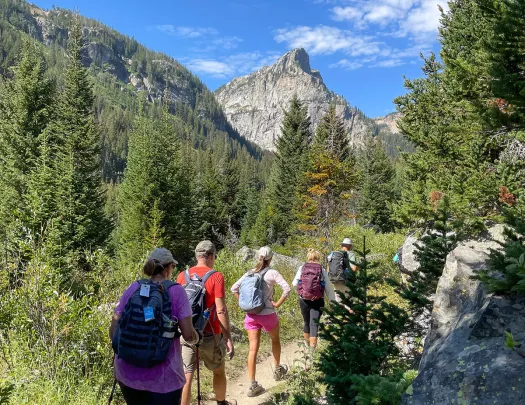 Backroads guests hiking through mountain pass and green landscape