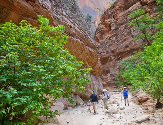 Guests walking through slot canyon