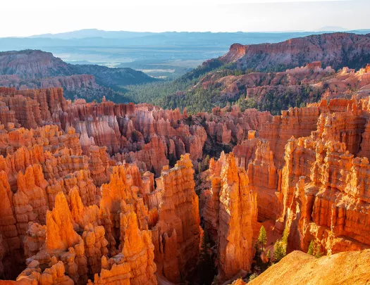 Rock formation cluster bird eye view