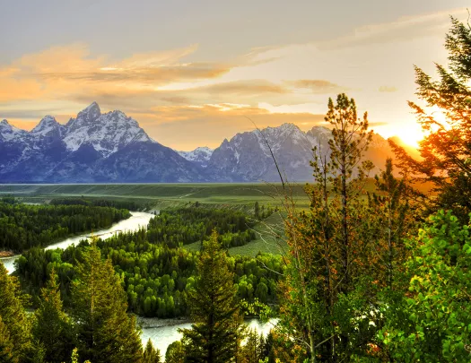 Vibrant green trees and picturesque mountains