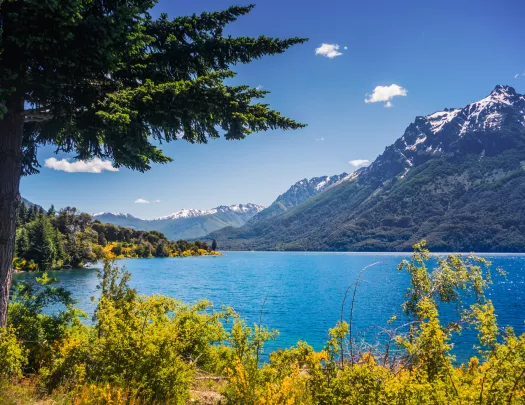 Large, blue lake surrounded by trees and a tall mountain