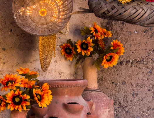 Corner with clay pots filled with flowers and plants