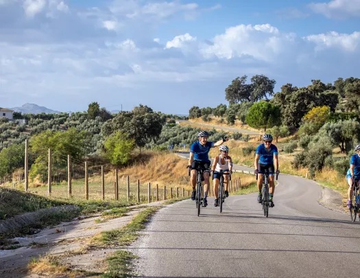 Four bikers on a road with trees behind them