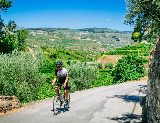Man riding bike on a road with crops in the distance
