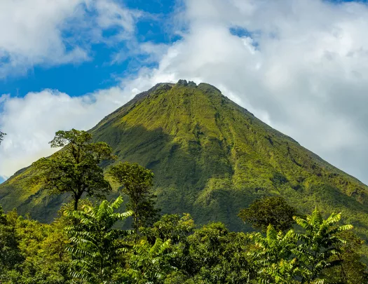 Tall hill covered in grass, with trees on the ground level