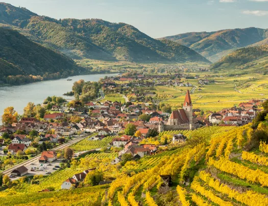 Hillside field overlooking a small town