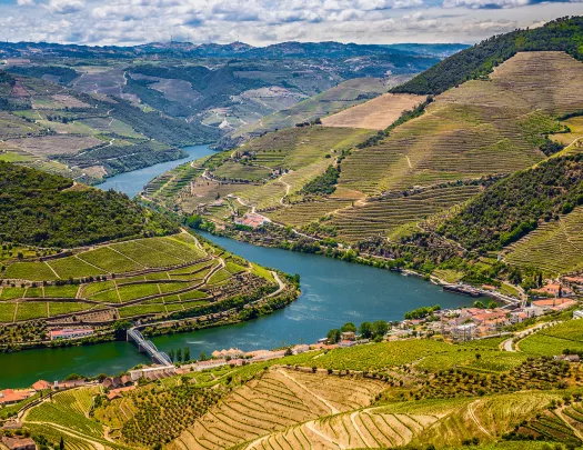 Top view of grassy fields with a river through the area