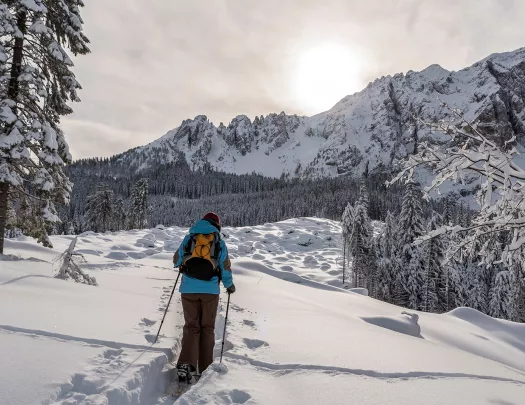A person snowshoes down a path