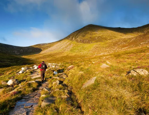 Person with a backpack hiking through a grassy valley