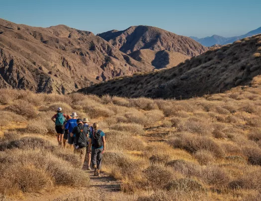 Group of hikers walking through a dirt trail, surrounded by dried weeds