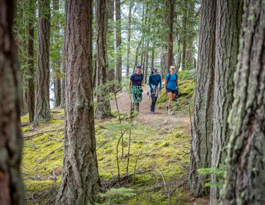Two women and one man walking in the middle of a forest