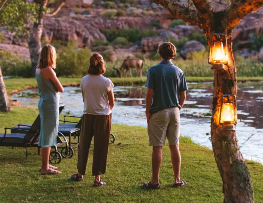 A group of people admire a grazing animal