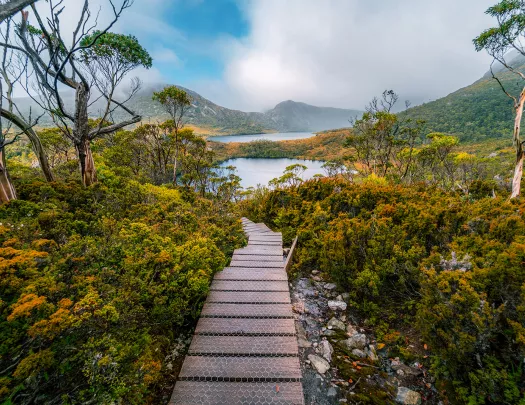 Wooden pathway leading to a lake