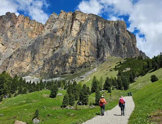 Hikers walking a path towards mountain range