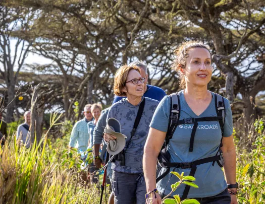 Backroads guests hiking