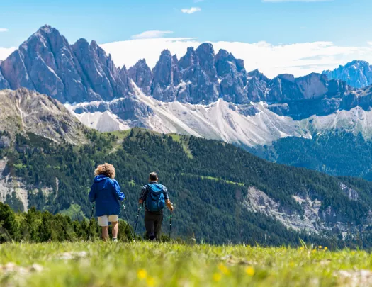 Two people with walking poles descending a grassy hill