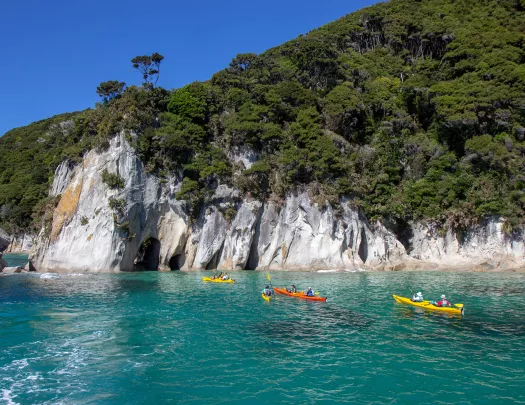 Four kayaks full of people paddling