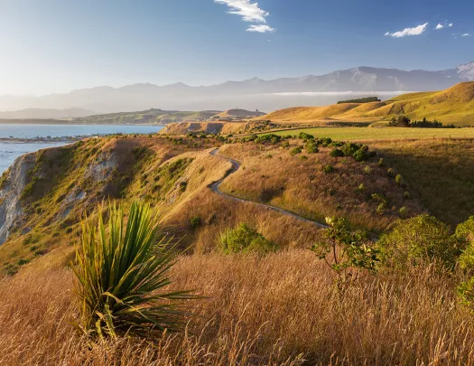 Open valley with a narrow road cutting through it