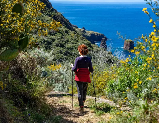 Woman with two hiking sticks overlooking the ocean