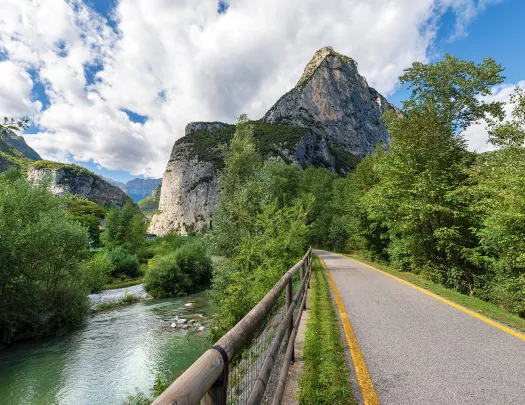 Road leading to mountains and trees